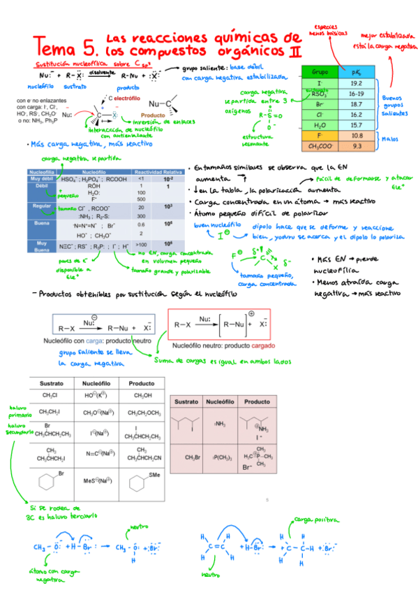 Miniatura del documento Tema-5-y-6-Biomoleculas.pdf