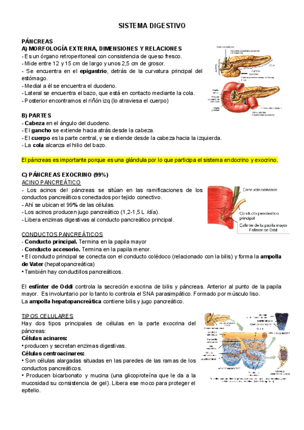 Miniatura del documento SISTEMA-DIGESTIVO-IV-V.pdf