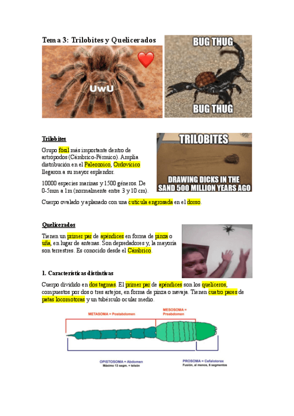 Miniatura del documento T3.-TRILOBITES-Y-QUELICERADOS.pdf