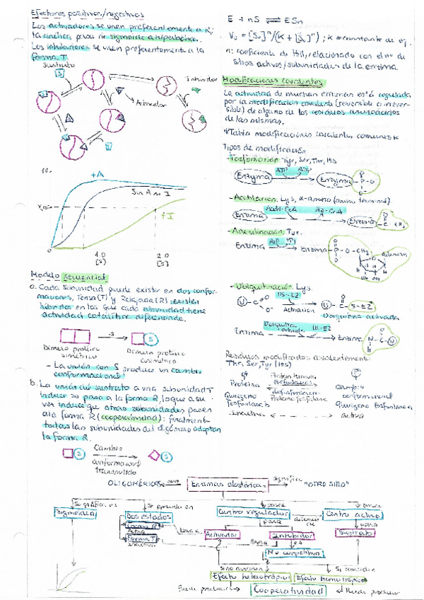 Miniatura del documento Apuntes-BQ1.pdf