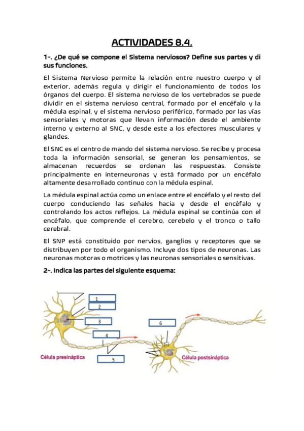 Miniatura del documento biologia-actividades-8.4.pdf