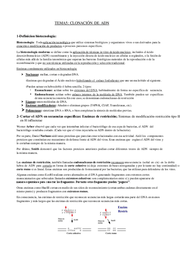 Miniatura del documento APUNTES-TEMA-5-GENETICA.pdf