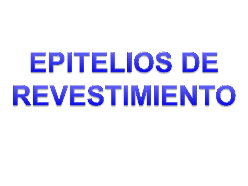 Miniatura del documento FOTOS-EPITELIOS.pdf