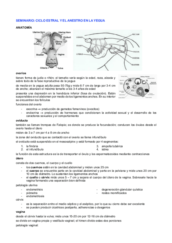 Miniatura del documento repro-equidos.pdf