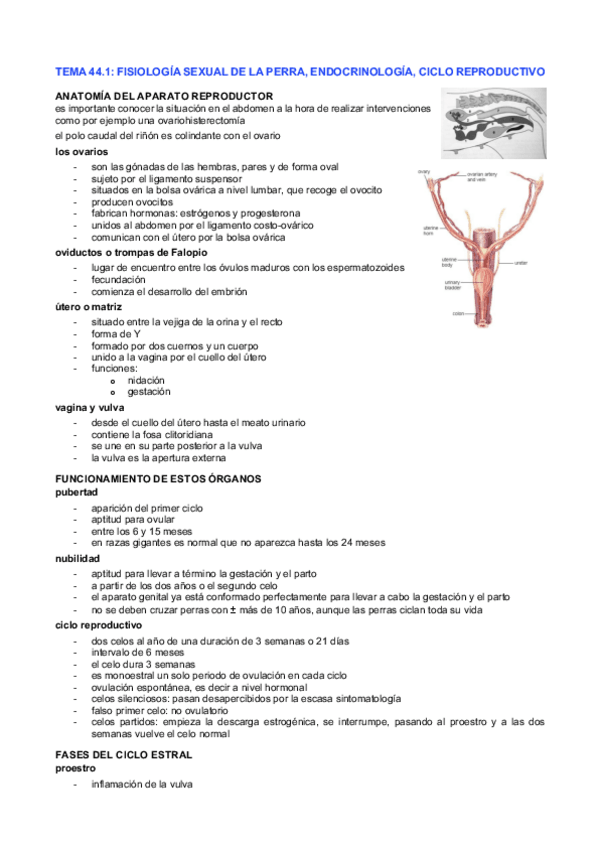 Miniatura del documento repro-PA.pdf