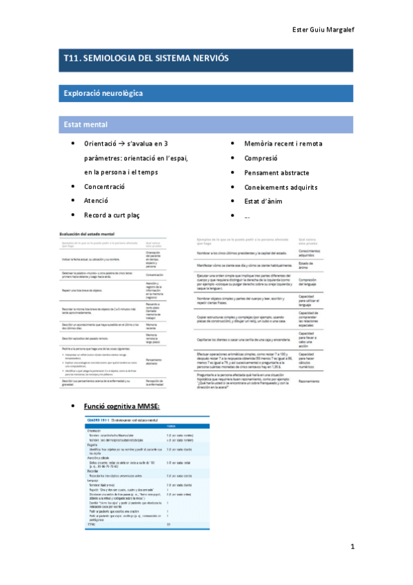 Miniatura del documento T11.-SEMIOLOGIA-DEL-SISTEMA-NERVIOS.pdf