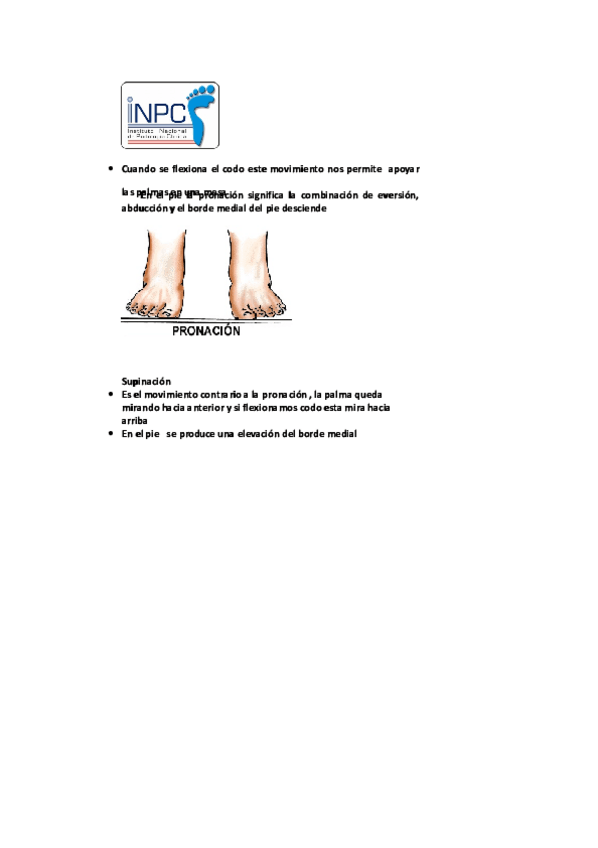 Miniatura del documento Original-manual-de-podologia-clinica-7.pdf