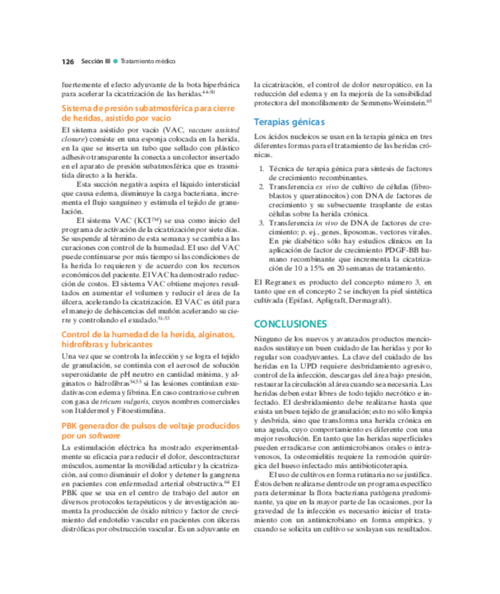 Miniatura del documento Pie-Diabetico-Atencion-Integral-S-11.pdf