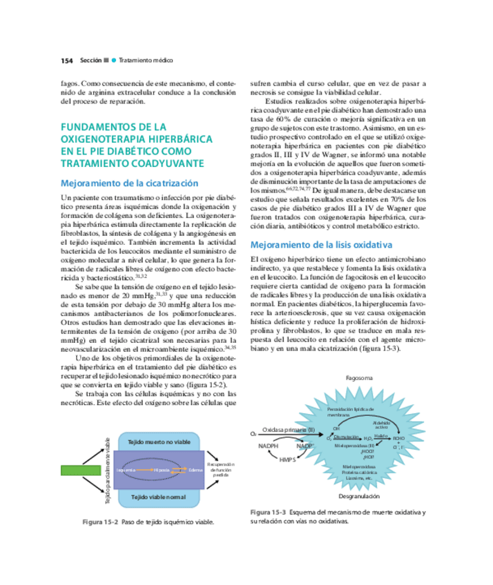 Miniatura del documento Pie-Diabetico-Atencion-Integral-S-13.pdf