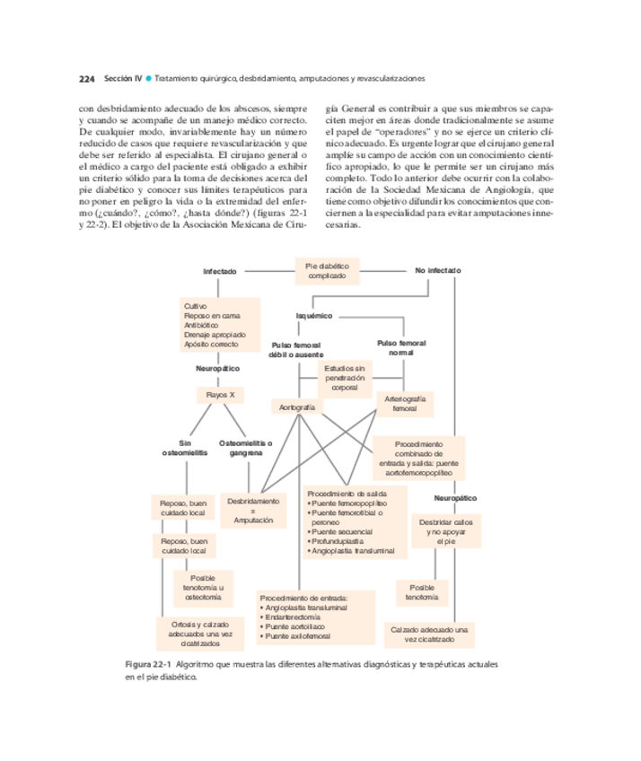 Miniatura del documento Pie-Diabetico-Atencion-Integral-S-18.pdf
