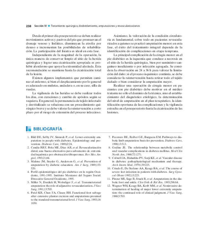 Miniatura del documento Pie-Diabetico-Atencion-Integral-S-19.pdf