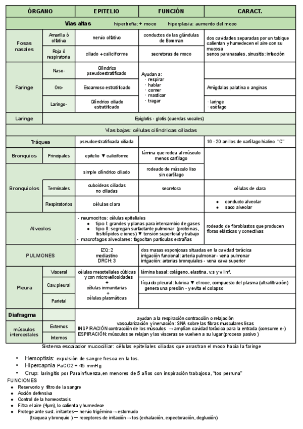 Miniatura del documento Tema-14-Aparato-respiratorio.pdf