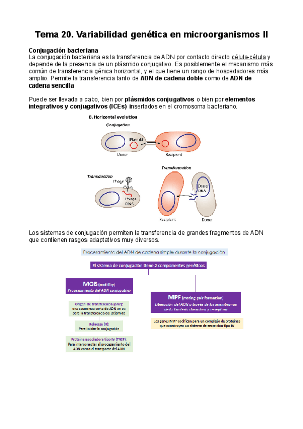 Miniatura del documento T20-Variabilidad-genetica-en-microorganismos-II-pdf.pdf