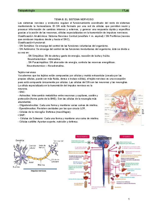 Miniatura del documento Fisio-3-tr.pdf