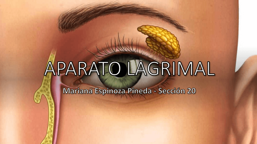 Miniatura del documento Aparato-lagrimal.pdf