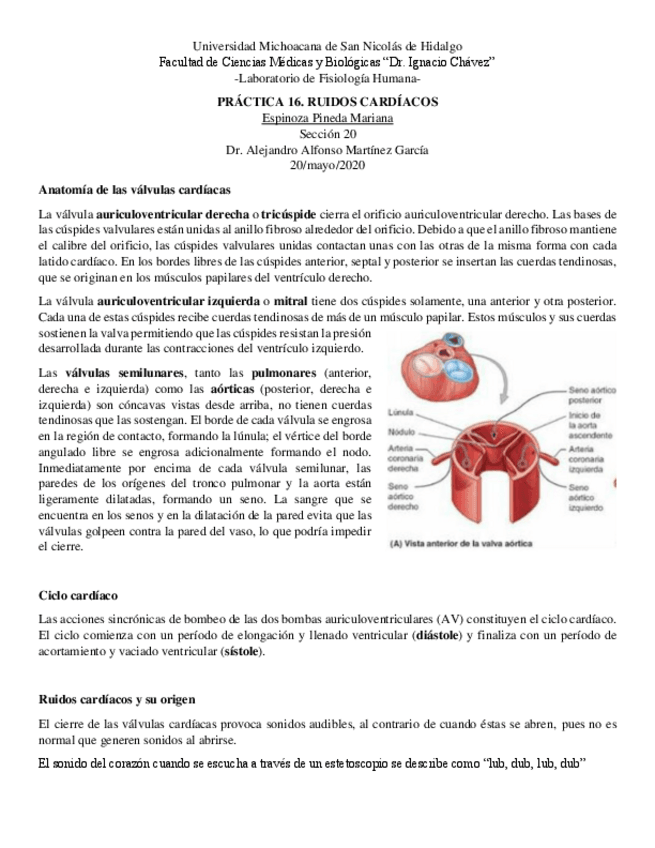 Miniatura del documento Practica-16.-Ruidos-Cardiacos.pdf