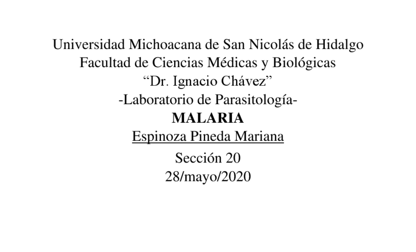 Miniatura del documento Malaria.pdf