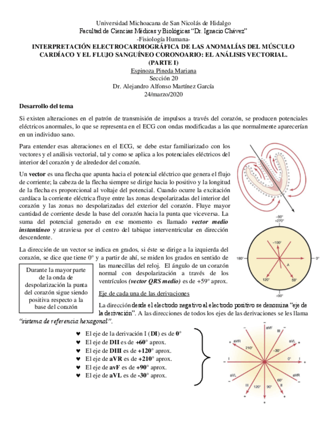 Miniatura del documento Resumen-anomalias-cardiacas.pdf