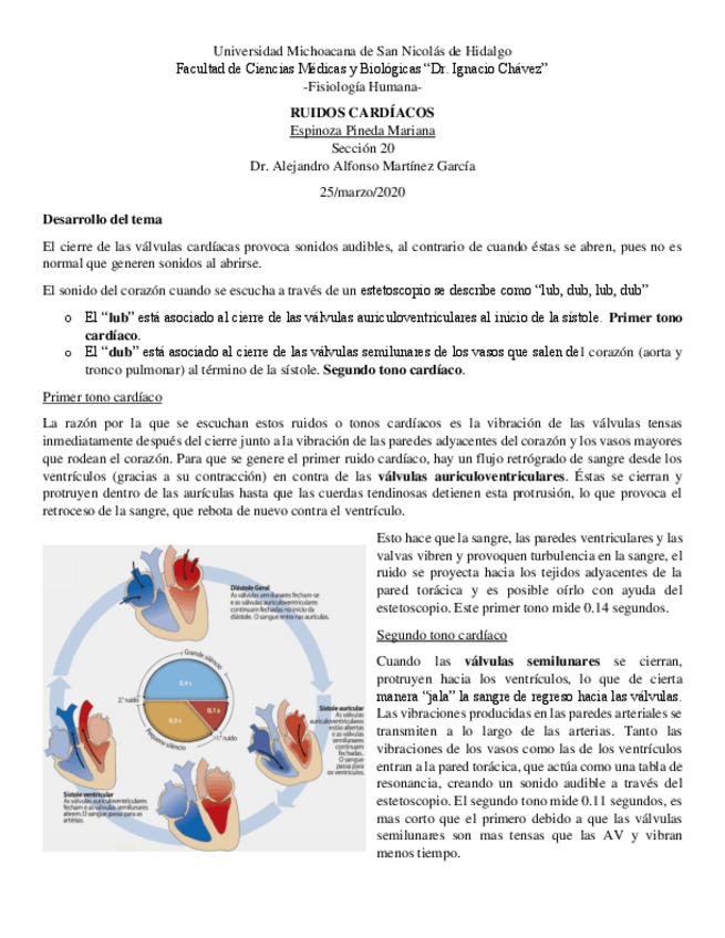 Miniatura del documento Resumen-Ruidos-Cardiacos.pdf