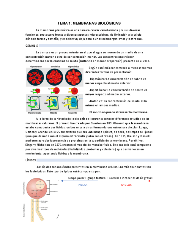 Miniatura del documento Biologia-1er-cuatrimestre.pdf