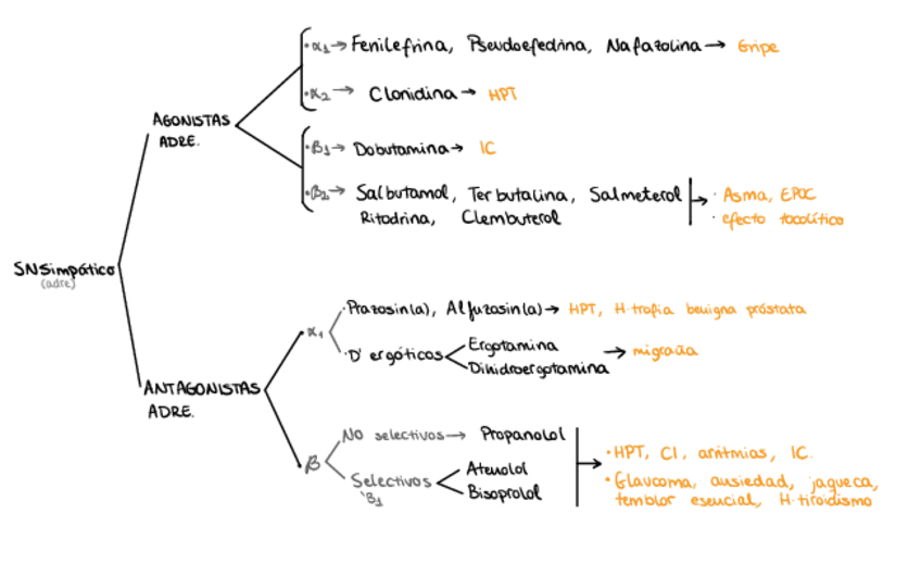 Miniatura del documento 1.-SNA.pdf