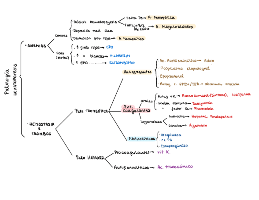 Miniatura del documento 2.6.-Sangre.pdf