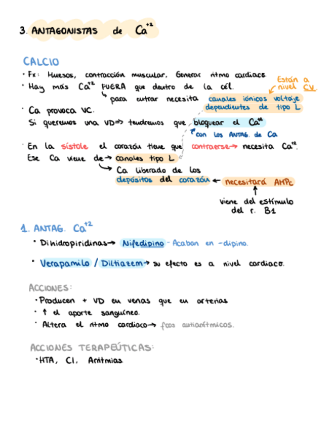 Miniatura del documento 2.3.-Antag-Calcio.pdf