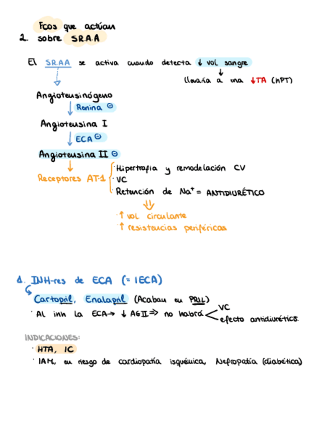 Miniatura del documento 2.2.-SRAA.pdf