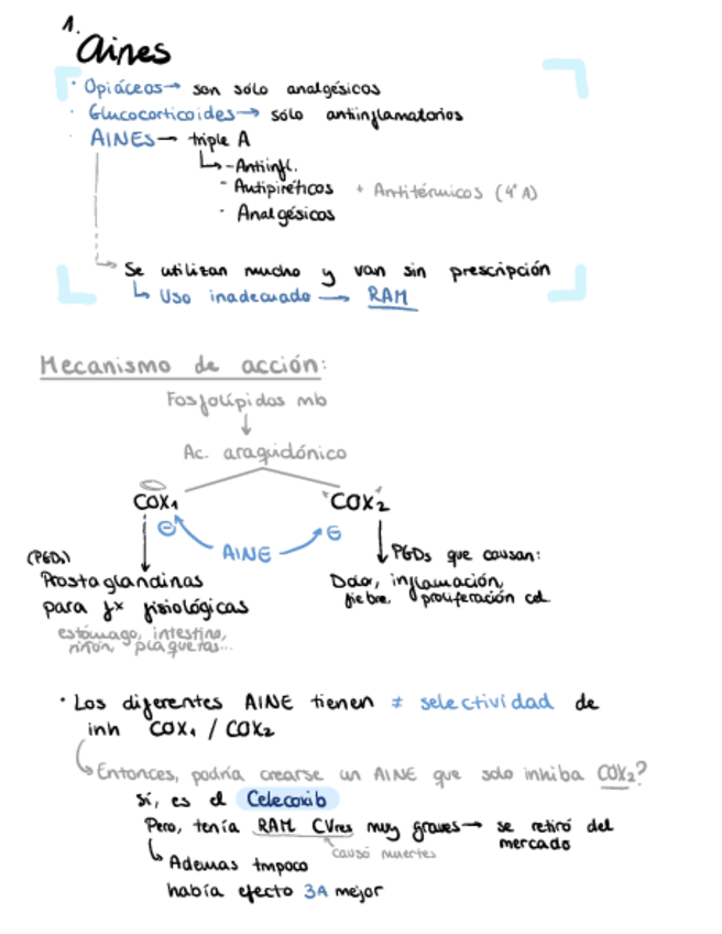Miniatura del documento 4.1.-AINES.pdf