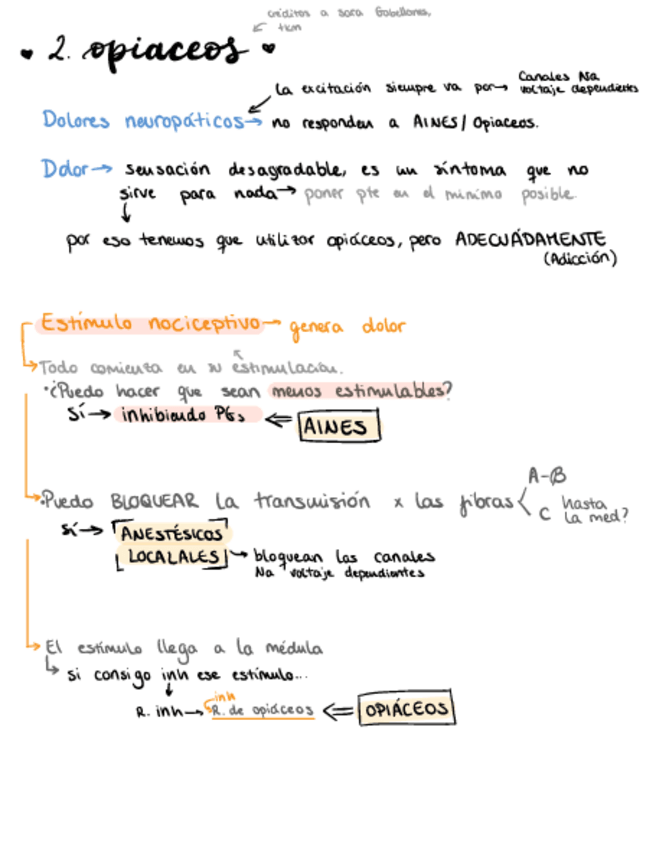 Miniatura del documento 4.2.-Opiaceos.pdf