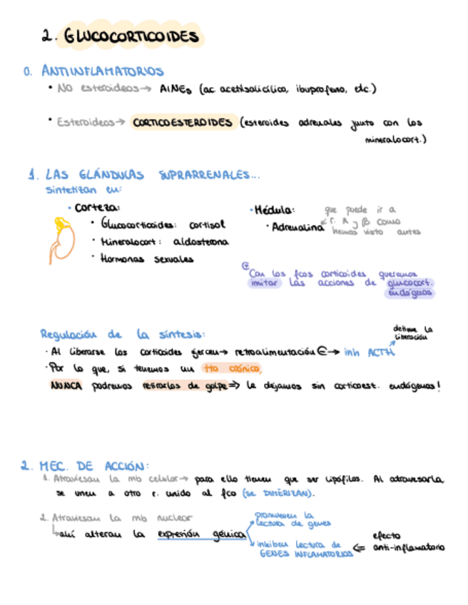 Miniatura del documento 3.2.-Corticoides.pdf
