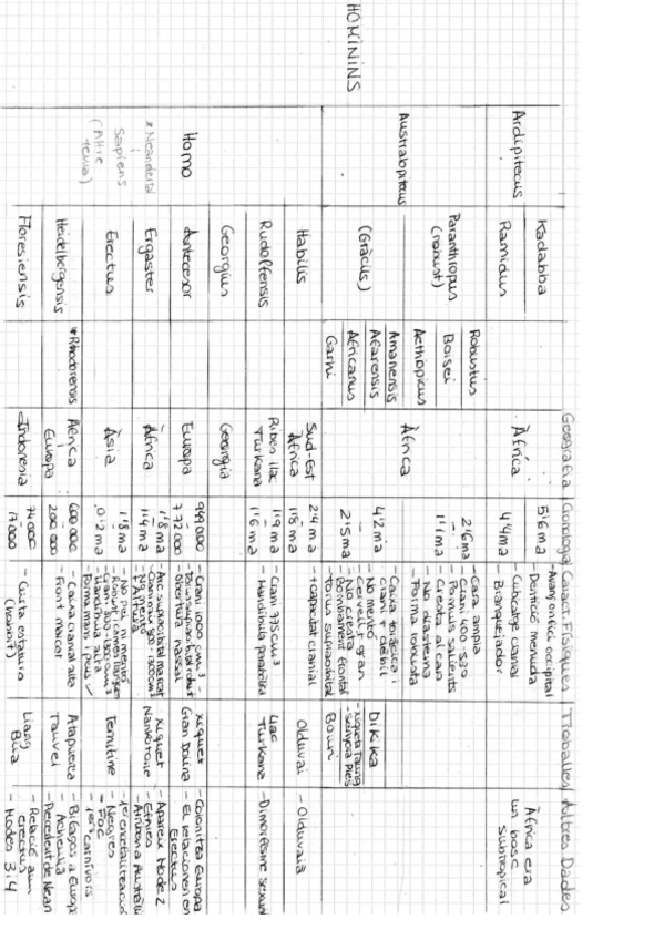Miniatura del documento Esquema-Yolanda.pdf