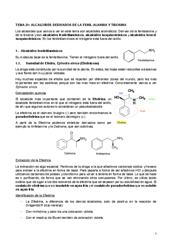 Miniatura del documento Tema 21 Farmacognosia.pdf