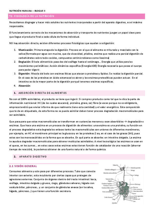 Miniatura del documento BLOQUE-II.pdf