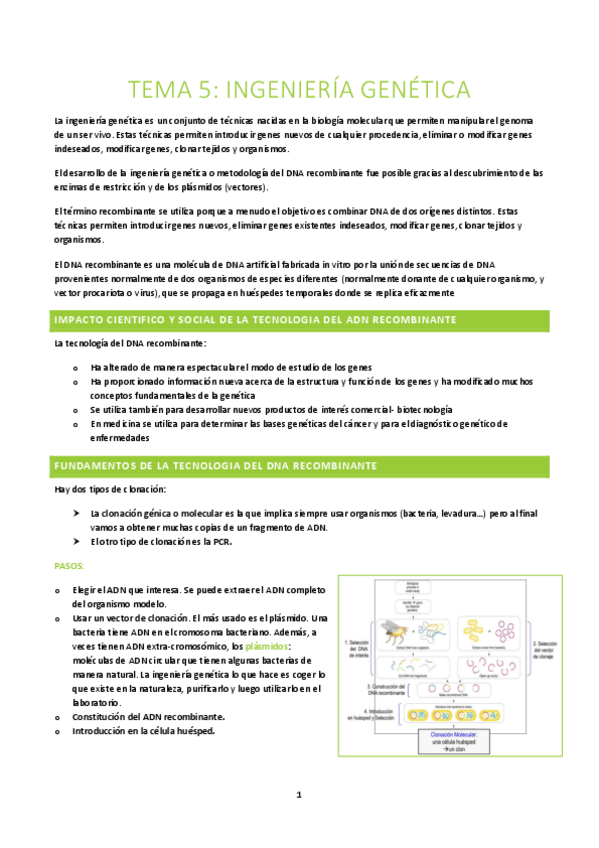 Miniatura del documento BA-T5-y-6.pdf