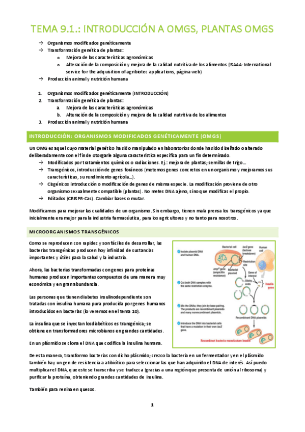 Miniatura del documento BA-Tema-9.1.pdf