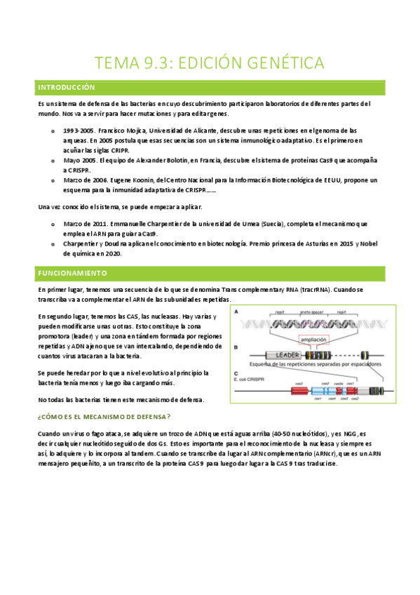 Miniatura del documento BA-T9.3.pdf