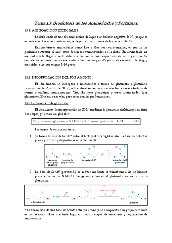 Miniatura del documento Tema-13-ByM.pdf