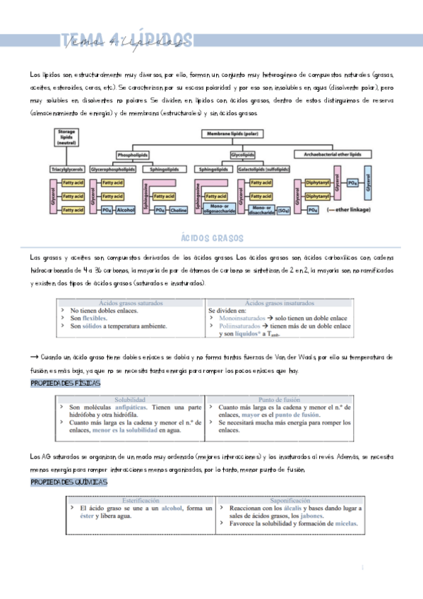Miniatura del documento TEMA-4.pdf