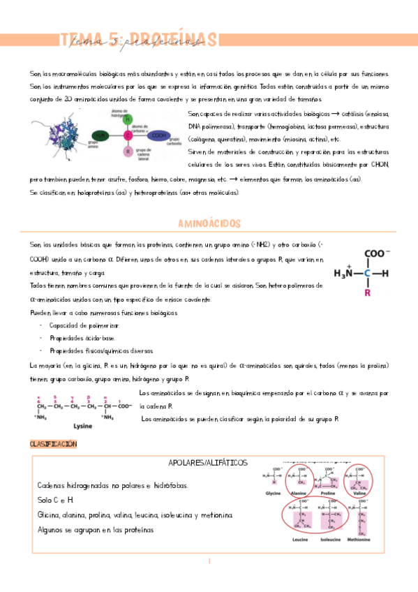 Miniatura del documento TEMA-5.pdf