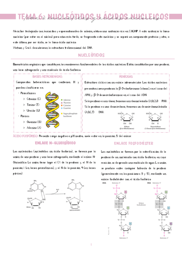 Miniatura del documento TEMA-6.pdf