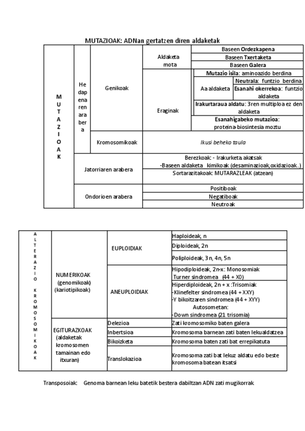 Miniatura del documento Mutazio-motak-eta-eragile-mutagenoak.doc.pdf