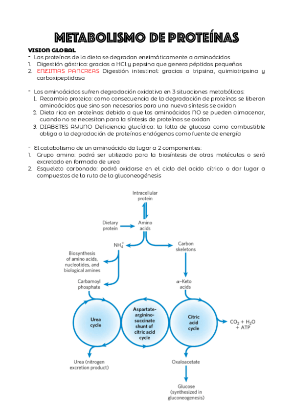 Miniatura del documento TEMA-8.A.pdf