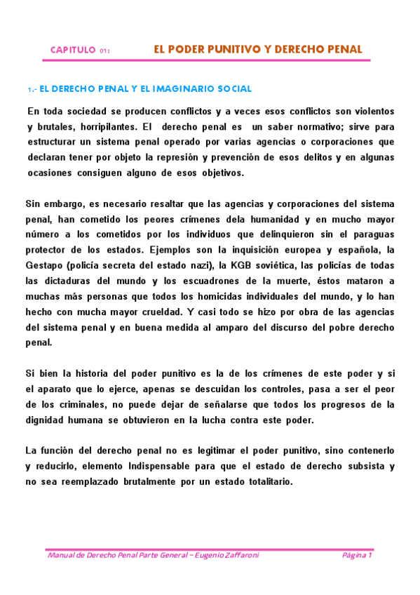Miniatura del documento RESUMEN-MANUAL-ZAFFARONI.pdf