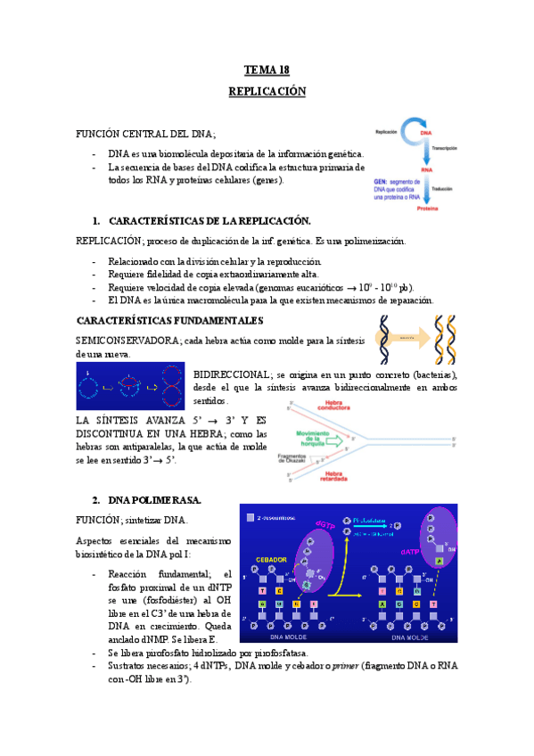 Miniatura del documento TEMA-18-REPLICACION.pdf