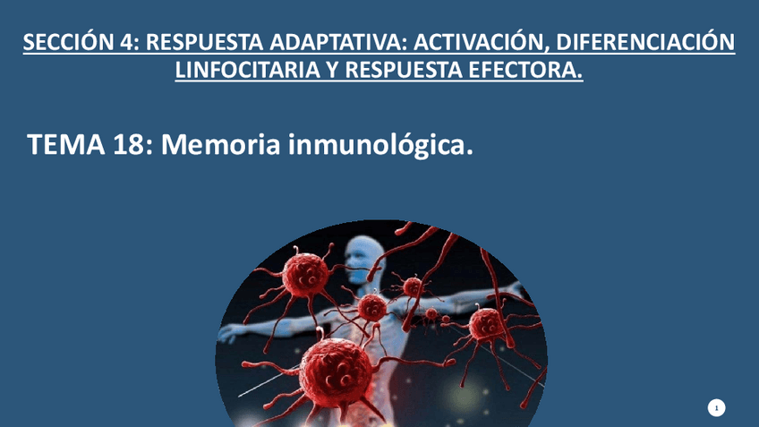 Miniatura del documento Tema-18.-Memoria-inmunologica.pdf