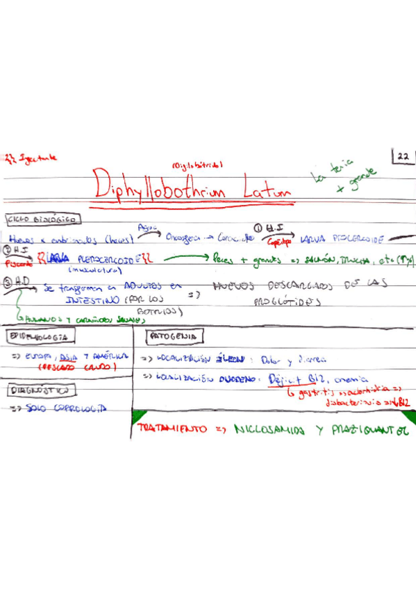 Miniatura del documento TARJETAS-REPASO-CESTODOS.pdf