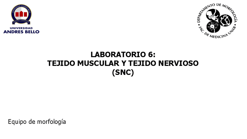 Miniatura del documento LABORATORIO-6-MUSCULO-Y-NERVIOSO.pdf