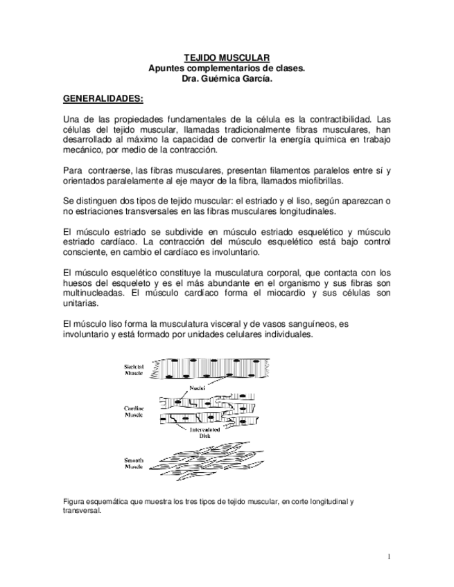 Miniatura del documento Apuntes-Tejido-Muscular2.pdf