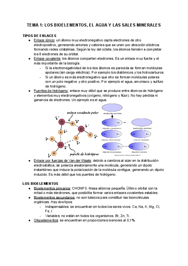 Miniatura del documento TEMA-1-LOS-BIOELEMENTOS-EL-AGUA-Y-LAS-SALES-MINERALES.pdf